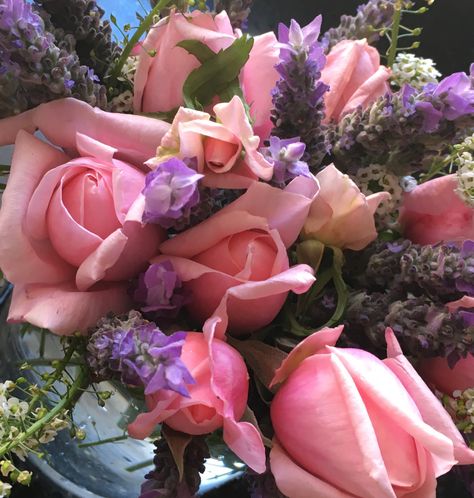 More beautiful roses and lavender Pink Roses And Lavender Bouquet, Violets And Roses, Lavender And Roses, Roses And Lavender, Roses And Violets, Rose Fairy, Rose Lavender, Lavender Bouquet, Beautiful Perfume