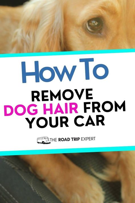 Remove Dog Hair From Car, Dog Hair Vacuum, Dog Hair Cleaning, Dog Hair Removal, Cleaning Pet Hair, Dog Hammock, Hair Removal Remedies, Cleaning Car Interior, Car Carpet