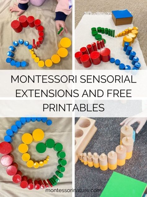 Montessori Sensorial Extensions, Sensory Activities Preschool, Montessori Sensorial Activities, Montessori Extensions, Montessori Printables Free, Montessori Phonics, Montessori Projects, Montessori Works, Homeschool Themes