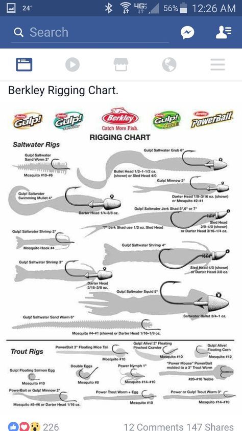 Fish Chart, Pesca In Mare, Happy Fishing, Salt Water Fishing, Bass Fishing Tips, Fishing Rigs, Fishing Techniques, Fishing Knots, Freshwater Fishing