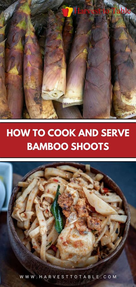 Fresh Bamboo Shoot Recipe, Bamboo Recipe, Bamboo Shoot, Bamboo Shoots, Asian Inspired Recipes, Best Side Dishes, Chinese Cooking, The Sauce, Side Recipes