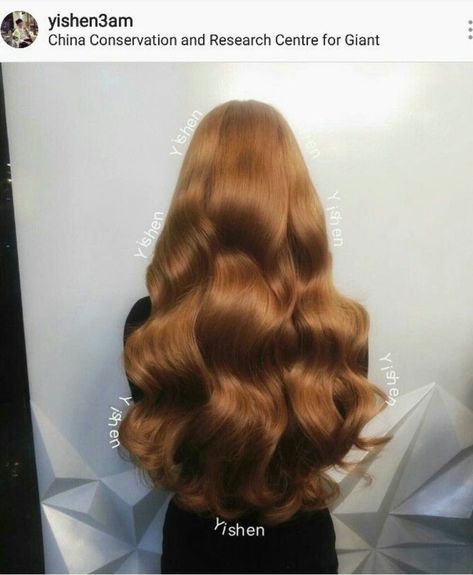 World Hair, Strawberry Blonde Hair Color, Beauty Hair Color, Ginger Hair Color, Hairstyles For Layered Hair, Honey Hair, Haircuts Straight Hair, Hair Inspiration Color, Beautiful Long Hair