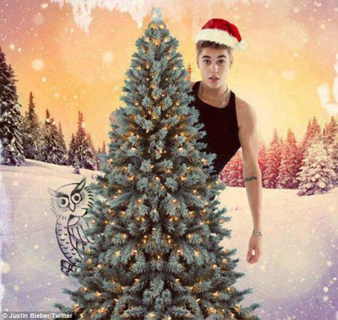 Justin Bieber, 18, wasted no time uploading a picture of his topiary as he did his best Santa Claus impression on Monday evening  #Justin Justin Bieber Christmas, Best Artificial Christmas Trees, Easy Homemade Christmas Gifts, Justin Bieber News, Justin Bieber Images, Justin Bieber Wallpaper, I Love Justin Bieber, Merry Christmas Images, Love Justin Bieber