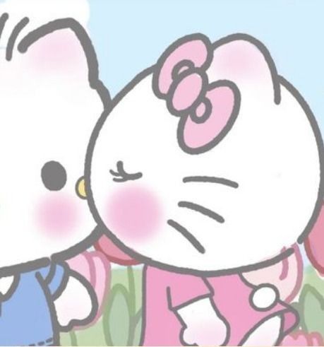 Cute Hello Kitty Couple Pfp, Sanrio Couples Pfp, Hello Kitty Bf Pfp, Hello Kitty And Her Bf Matching Pfp, Couple Matching Pfp Cute Cartoon, Cute Matchy Icons, Hello Kitty Aesthetic Matching Pfp, Hello Matching Pfp, Cute Hello Kitty Matching Pfp