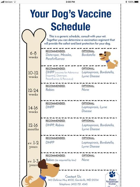 Dog shot schedule | Puppy schedule, Dog shots, Puppies Puppy Shot Schedule, Puppy Schedule, New Puppy Checklist, Puppy Checklist, Dog Shots, Puppy Time, Puppy Mom, Puppies Tips, Puppy Training Tips