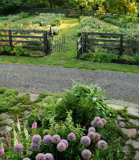 Plants Growing, Cottage Garden Design, Garden Wallpaper, Garden Care, Garden Features, Veggie Garden, Farm Gardens, Country Gardening, Kitchen Garden