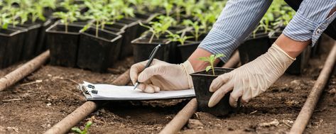 Scientists Don’t Stay for Long in Their Jobs Anymore: Study Plant App, Tyson Foods, Sustainable Food Systems, Genetic Engineering, Measuring Success, Self Organization, Soil Ph, Food Security, Sustainable Food