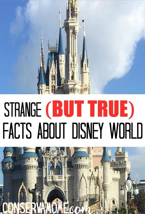 Disney World Facts And Secrets, Best Disney Animated Movies, Disney World Facts, World Facts, Disney Trivia, Disney Cricut, Traveling Family, Disney Princess Facts, Universal Vacation