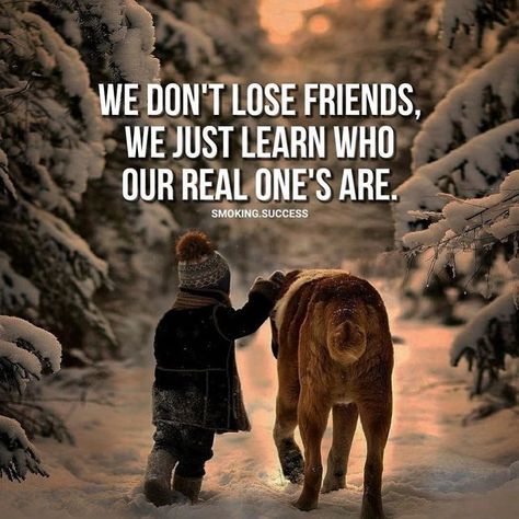 Sayings About Dogs, Quotes About Friendship Ending, Guy Friendship Quotes, Motivational Lifestyle, Money Inspiration, Success Lifestyle, True Friends Quotes, Money Luxury, Inspirational Shirts