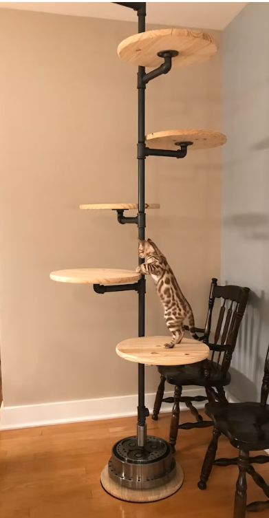 Floor To Ceiling Cat Tree, Katt Diy, Cat Tree Plans, Katt Grejer, Cat Climber, Diy Cat Tree, Cat Wall Furniture, Cat Shelves, Cat Furniture Diy