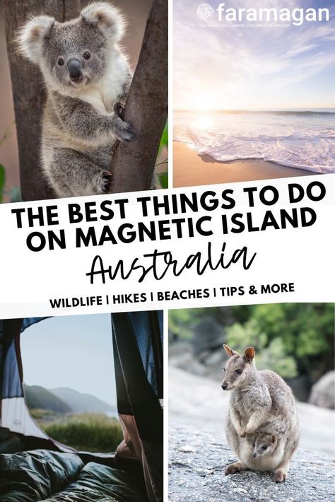 Magnetic Island, Australia Bucket List, Australia Itinerary, Australia Vacation, Honeymoon Locations, Australian Travel, Adventure Bucket List, Animal Sanctuary, Island Tour