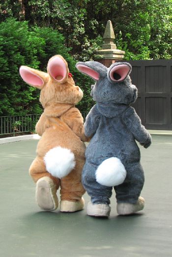 Disney Costume, Easter Bunny Rabbit, Bunny Rabbit, Feel Better, Stuffed Animals, Easter Bunny, For Free, Easter, Disney