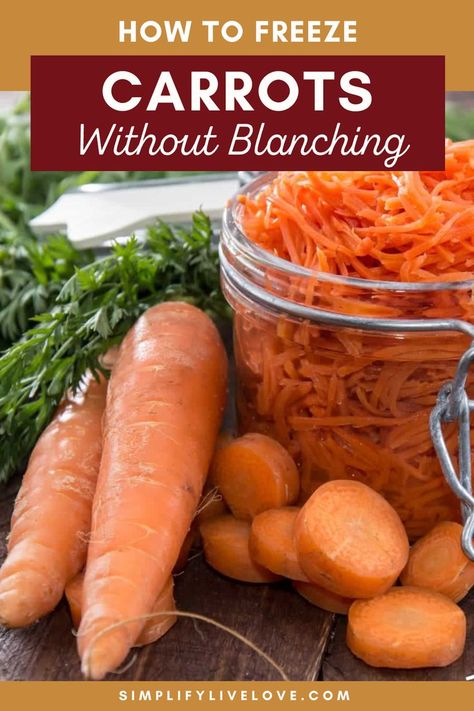 How to Freeze Carrots Without Blanching Canning Carrots Recipes, Pasta Sauce To Freeze, Preserve Carrots, Preserving Carrots, How To Freeze Carrots, Freezing Carrots, Canning Carrots, Canned Carrots, Freezing Vegetables