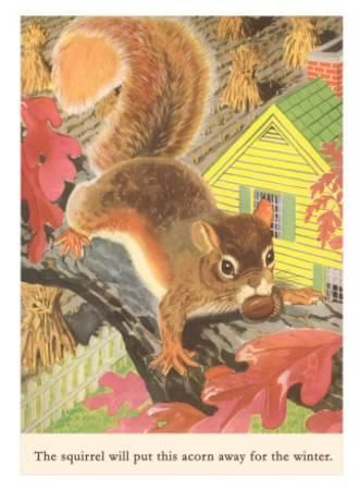 Squirrel, Posters and Prints at Art.com Acorn Fairy, Squirrel Art, Mighty Oaks, Art Print Display, Paper Products, Squirrels, Chipmunks, Art Block, Vintage Postcard