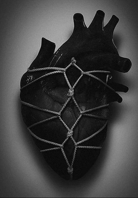 The Iron Bull, Anatomical Heart Art, 다크 판타지, Anatomical Heart, Arte Inspo, Black And White Aesthetic, Dark Photography, White Photo, Drops Design