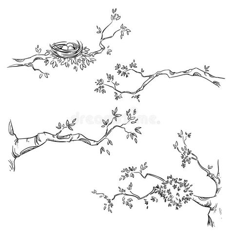 Set of hand drawn branches, vector illustration vector illustration Tree Branch Tattoo, Tree Drawing Simple, Tree Branch Wall Art, Branch Drawing, Tree Doodle, Branch Vector, Sky Art Painting, Nature Sketch, Tree Sketches