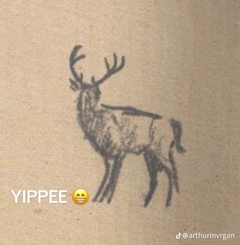 Elk Tattoos, Stag Antlers Tattoo, Whitetail Deer Antler Tattoo, Small Elk Antler Tattoo, Elk Antler Tattoo, Whitetail Deer Tattoo Ideas, Antler Drawing, Buck Tattoo, Elk Tattoo