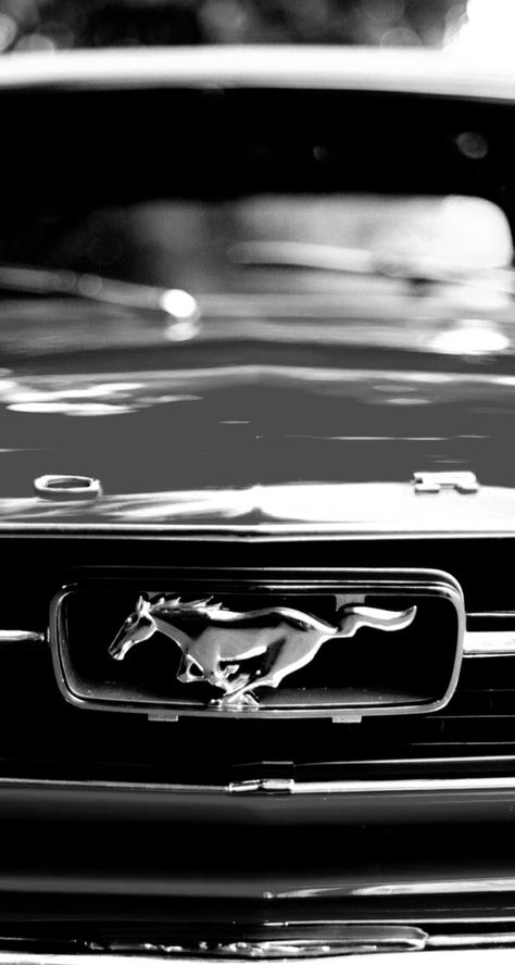 Mustang Astetic Wallpaper, Ford Mustang Aesthetic Wallpaper, Mustang Car Photography, Vintage Black Mustang Aesthetic, Old Mustang Aesthetic, Mustang 1969 Wallpaper 4k, Vintage Mustang Wallpaper, Mustang Aesthetic Wallpaper, Ford Mustang Aesthetic