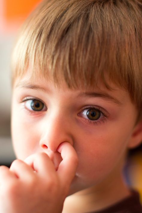 New Study Reveals Why Nose-Picking, Booger-Eating Kids Are Actually Healthier Nose Picker, Nose Picking, Dutch People, Teeth Health, Innsbruck, Everything Baby, Real Life Stories, Healthy Kids, Our Kids