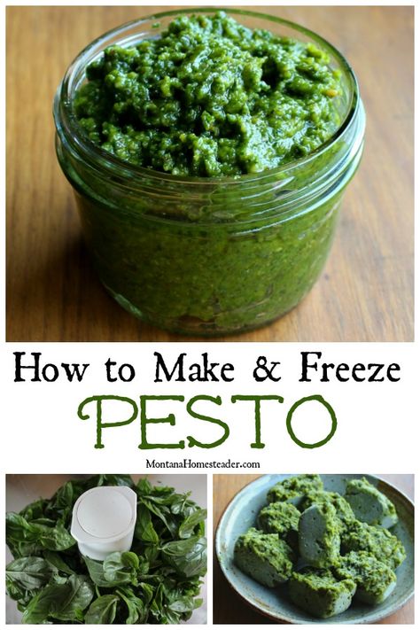 Have a surplus of basil? Here's how to make and freeze pesto to eat year round! Plus ideas for other pesto variations you can make | Montana Homesteader Basil Ideas, Freezing Pesto, Homemade Pesto Recipe, Pesto Recipes, Basil Pesto Recipes, Delicious Veggies, How To Make Pesto, Foodie Crush, Pasta Sauces