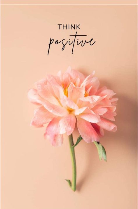 Magic Plants, Hairdresser Quotes, Image Zen, Funny Happy Birthday Song, Inspirational Phone Wallpaper, Instagram Feed Planner, Girly Wallpaper, Soul Love Quotes, Inspirational Quotes Wallpapers