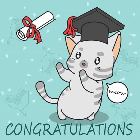 Graduation cute cat in cartoon style. Premium Vector Graduation Drawing, Graduation Cartoon, Chemistry Gifts, Student Cartoon, Laughing Cat, Cat Background, Cat Doodle, Graduation Funny, Happy Graduation