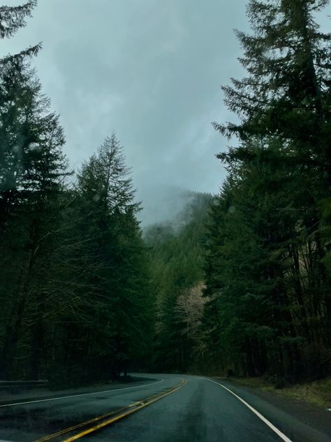 Widget Nature, Oregon Aesthetic, Oregon Mountains, Aesthetic Scenery, Oregon Forest, Mountain Vibes, Thought Daughter, Dark Landscape, Pretty Landscapes