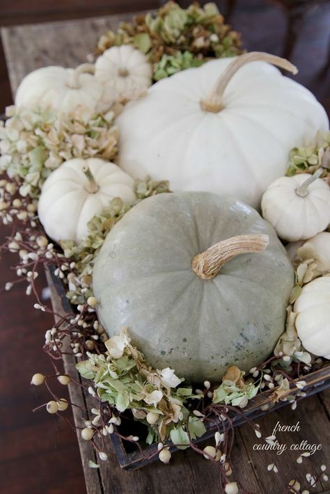 Autumn Pumpkins White Pumpkin Decor, Fall Vignettes, Neutral Fall Decor, Fall Deco, Pumpkin Centerpieces, Autumn Decorating, Farmhouse Fall Decor, French Country Cottage, Fabulous Fall