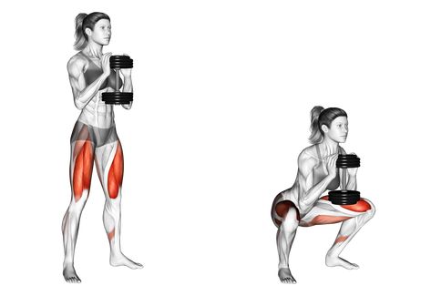 The squat, a fundamental compound movement, is a cornerstone of lower body development. It engages multiple muscle groups simultaneously, fostering strength, stability, and flexibility. Now, imagine supercharging this foundational exercise by incorporating dumbbells. In this guide, we'll explore the nuances of the Squat with Dumbbells – a versatile and effective variation that offers a fresh perspective on traditional squatting. Dumbell Squats, Lunges With Weights, Abdominal Stretches, Leg Exercise, Squat Variations, Dumbbell Squat, Squats And Lunges, Barbell Squat, Leg Day Workouts