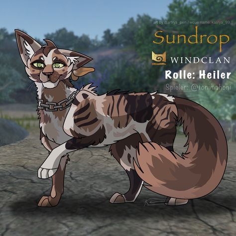 Its a rondo. Players character of a Windclan med cat Wcue Oc Design, Warrior Cats Ultimate Edition Oc Ideas, Roblox Warrior Cats, Wcue Oc Idea, Warrior Cat Morph Ideas, Roblox Warrior Cats Oc Ideas, Warrior Cats Morph Ideas, Warrior Cat Ultimate Edition Oc, Wcue Morph Ideas