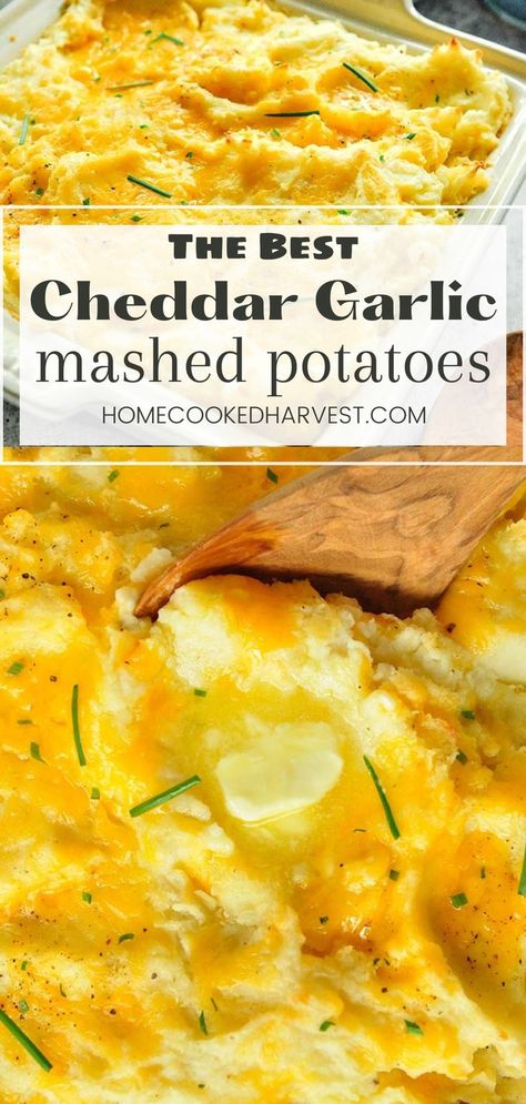 Garlic Potato Casserole, Flavoured Mashed Potatoes, Garlic And Cheese Mashed Potatoes, Cheese Garlic Mashed Potatoes, Garlic Cheddar Mashed Potatoes, Homemade Cheesy Mashed Potatoes, Baked Garlic Mashed Potatoes, Best Cheesy Mashed Potatoes, Garlic Cheesy Potatoes