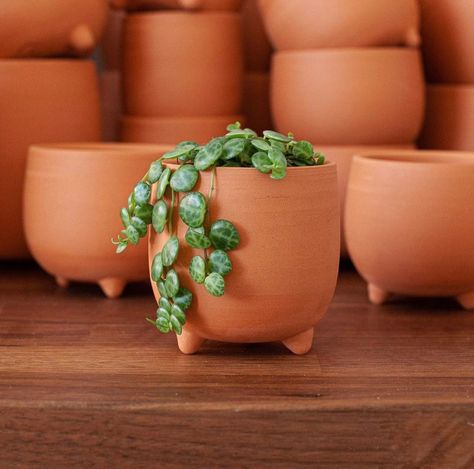 Terracotta Fever 🧡🔥 on Instagram: “Word on the street is that @threefeetmudworks is releasing a few of these mini Terra Tubby planters in his shop update tomorrow! 🏃‍♂️…” Terracotta Pots Aesthetic, Terracotta Clay Ideas, Terracotta Pottery, Pinterest Plant, Plant Display Ideas, Mini Plant Pots, Plant Pot Diy, Clay Planters, Pottery Form