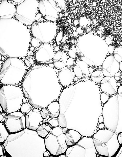 Robin Broadbent Photography Monochrome Color, Organic Pattern, Things Under A Microscope, Backgrounds Wallpapers, Art And Illustration, Natural Forms, Mark Making, White Photo, Patterns In Nature