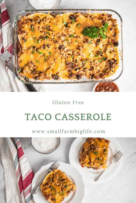 Gluten Free Taco Casserole, Gluten Free Taco, Cheesy Dinner, Gluten Free Casserole, Healthy Casserole, Gluten Free Tacos, Glutenfree Recipe, Taco Dinner, Gluten Free Main Dishes