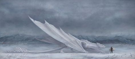 Got Dragons, Ice Dragon, Dragon Rider, Creature Drawings, Dragon Pictures, White Dragon, Dragon Artwork, Mythical Creatures Art, Dragon Drawing