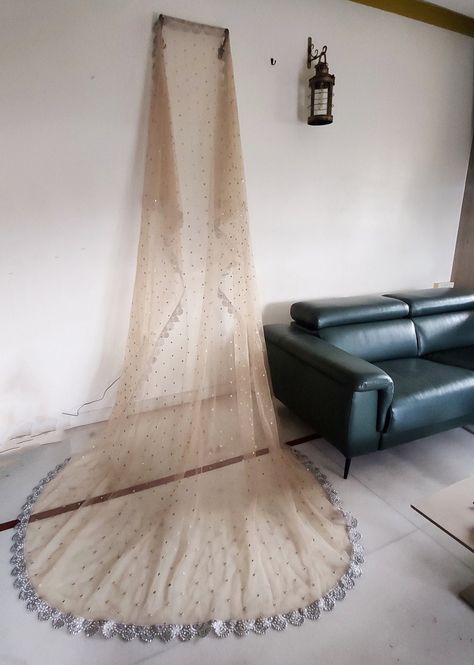 Buy Bridal Entry Indian Long Trail Dupatta. Net Embroidered Beige Silver Bride Grand Entry Chunni. Indian Wedding Dupatta Online in India - Etsy Wedding Dupatta, Bridal Entry, Bride Entry, Grand Entry, Bridal Dupatta, Long Trail, Western Outfits Women, Bridal Lehenga, Western Outfits