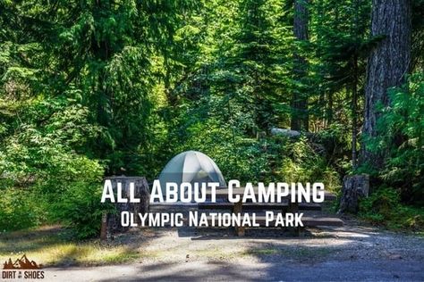 The Ultimate Olympic Trip Planning Guide | Dirt In My Shoes Open Season, Tent Campers, Port Angeles, Park Ranger, Olympic National Park, Planning Guide, Guided Writing, My Shoes, Running Water