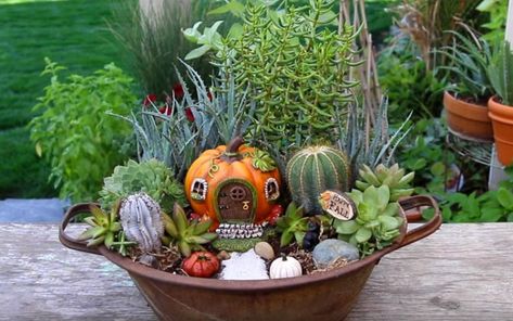 Fairy Garden Design Ideas, Winter Fairy Garden, Wabi Kusa, Beach Fairy Garden, Fairy Garden Containers, Fairy Garden Designs, Autumn Fairy, Winter Fairy, Fairy Garden Houses