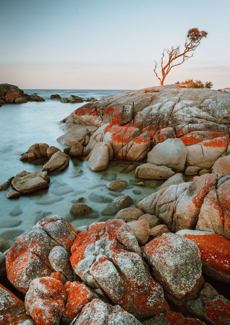 Want to know how to make water look like silk? capture moving car headlights? you need to know more about long exposure photography! Tasmania Road Trip, Tasmania Travel, Bruny Island, Green Travel, Aesthetic Picture, Before Sunset, Photography Games, On The Road Again, Long Exposure