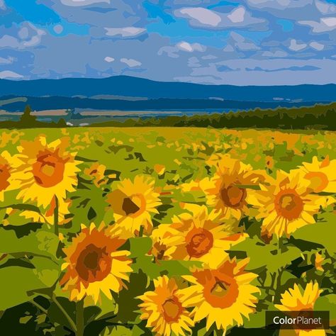 Illustration Art Kids, Pink Wallpaper Backgrounds, Coloring Art, Simple Canvas Paintings, Watercolor Projects, Sunflower Art, Sunflower Fields, Art Prompts, Aesthetic Painting