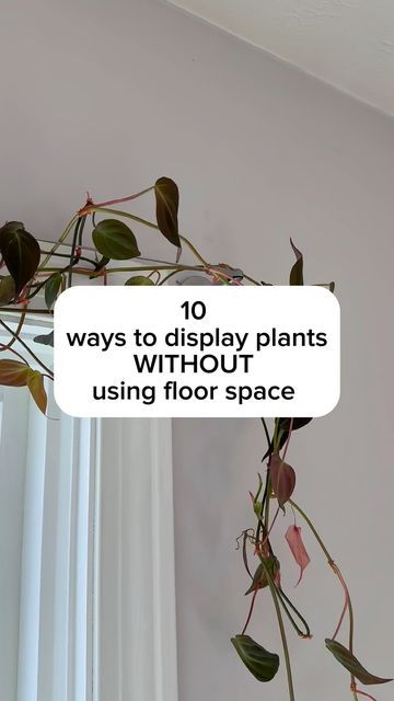 20K views · 1.3K likes | Samantha Hermann on Instagram: "Do you have unique ways to display houseplants? I’d love to hear it in the comments! When you have a lot of plants you have to get creative 😅 All of these work great for people with kids or pets that mess with the plants if they’re on the ground. Remember, light is still so important when we’re putting plants on the walls. You may need to add a grow light if you have a spot you want a plant but the sunlight is low. I have a special discount code that stacks with Amazon discounts right now for my favorite clip light! They’re perfect for plants in tight spaces or for that extra boost of light. Comment ‘light’ and I can send you the link & code. I’ve linked all I can in my Amazon storefront in my bio — if you’d like to shop what y Plant Shelves In Front Of Sliding Glass Door, Indoor Plant Display With Grow Lights, Creative Plant Grow Lights, Plant Shelf Ideas With Grow Light, Indoor Plant Wall With Grow Lights, Indoor Plants Small Spaces, Plant Ideas For Living Room, Plant Shelf Lighting, Creative Houseplant Displays