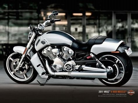 Nice Vrod Custom, Vrod Muscle, Harley Davidson Roadster, Harley V Rod, Harley Davidson Merchandise, Harley Davidson Road King, Мотоциклы Harley Davidson, Harley Davidson Signs, Motos Harley