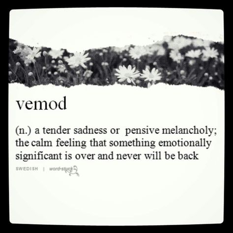 vemod (Swedish) Uncommon Words, Fancy Words, Word Nerd, Unusual Words, Rare Words, Word Definitions, Words To Use, Unique Words, Aesthetic Words