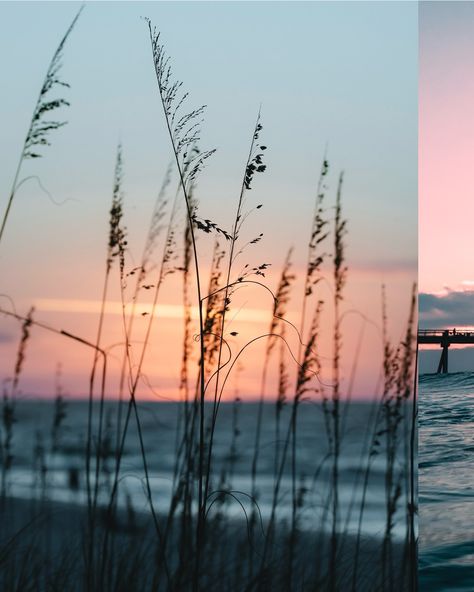 All the Colors! Which one is your favorite? #emeraldcoast #florida #navarrebeach #oceanphotography #sunrise #sunset #color #oceantherapy #oceanwaves Florida Beach Sunrise, Navarre Beach, Sunset Color, Emerald Coast, Sunrise Beach, Ocean Photography, Florida Beaches, Ocean Waves, Sunrise Sunset