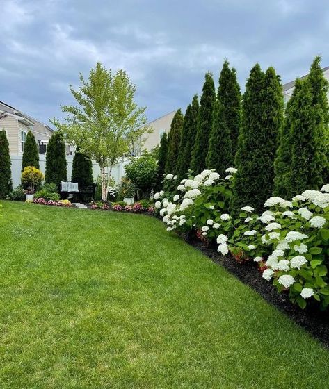 15 Tranquil Landscaping Ideas to Transform Your Outdoor Space Lawn Scaping Ideas, Hoa Approved Garden, Side Home Landscaping, New England Landscaping Front Yard, Side Of House Walkway, Boxwood Landscaping Front Yard, Neighborhood Landscaping, Front Yard Privacy Landscaping, Privacy Landscaping Between Houses