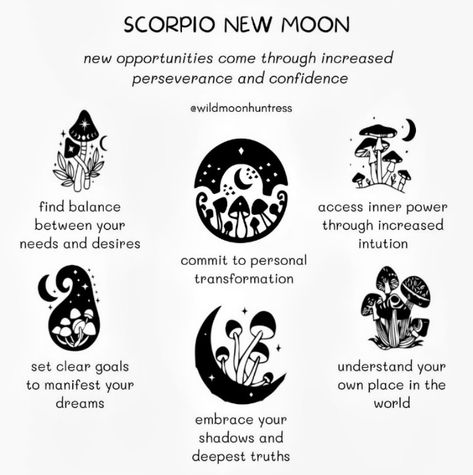 New Moon Scorpio, New Moon Phase, Happy November, Moon Magick, Deep Truths, Blessed Be, Finding Balance, November 1, New Moon