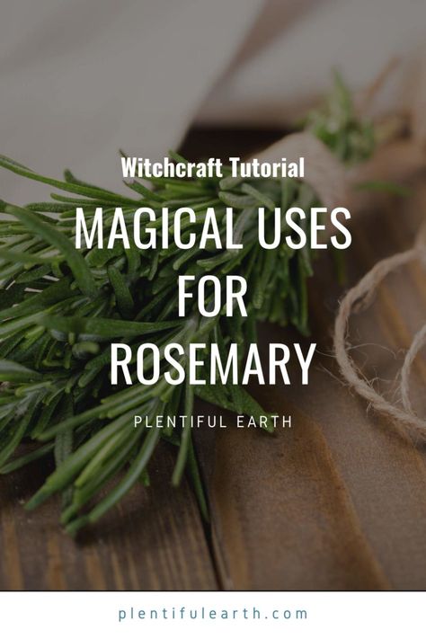 Rosemary Uses Witch, Rosmary Magic Properties, Rosemary Spiritual Uses, Rosemary Magical Properties, Rosemary Witchcraft Uses, Rosemary Spell, Rosemary Magic, Rosemary Witchcraft, Burning Rosemary