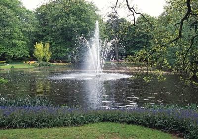 Waterfront Landscaping, Yard Pond, Large Pond, Farm Pond, Pond Aerator, Building A Pond, Pond Maintenance, Outdoor Ponds, Fountains Backyard