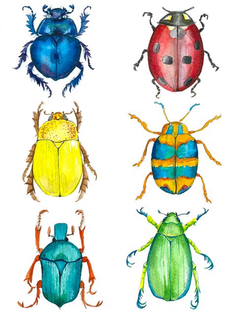 Watercolor Bugs, Insect Art Projects, Bugs Drawing, Bug Collection, Bug Art, Art Watercolor Painting, Insect Art, Camping Art, Giza