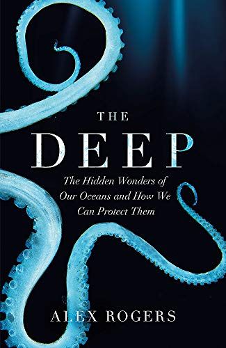 The Deep Ocean, Studying Life, Underwater Life, Deep Ocean, Human Activity, Beneath The Surface, Marine Biology, Secret Life, The Deep